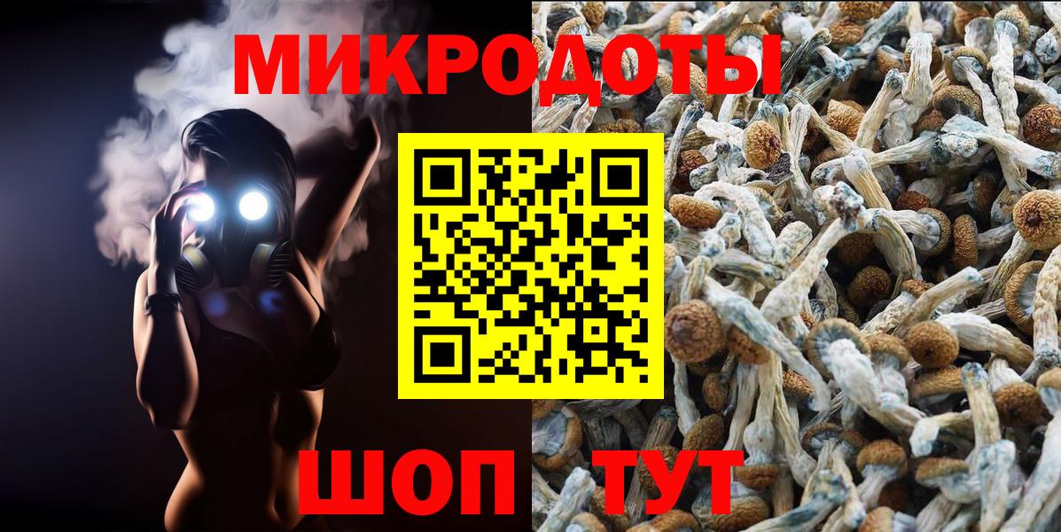 Галлюциногенные грибы мицелий  Псилоцибиновые грибы мухоморы  Вход с VPN  Благодарный 